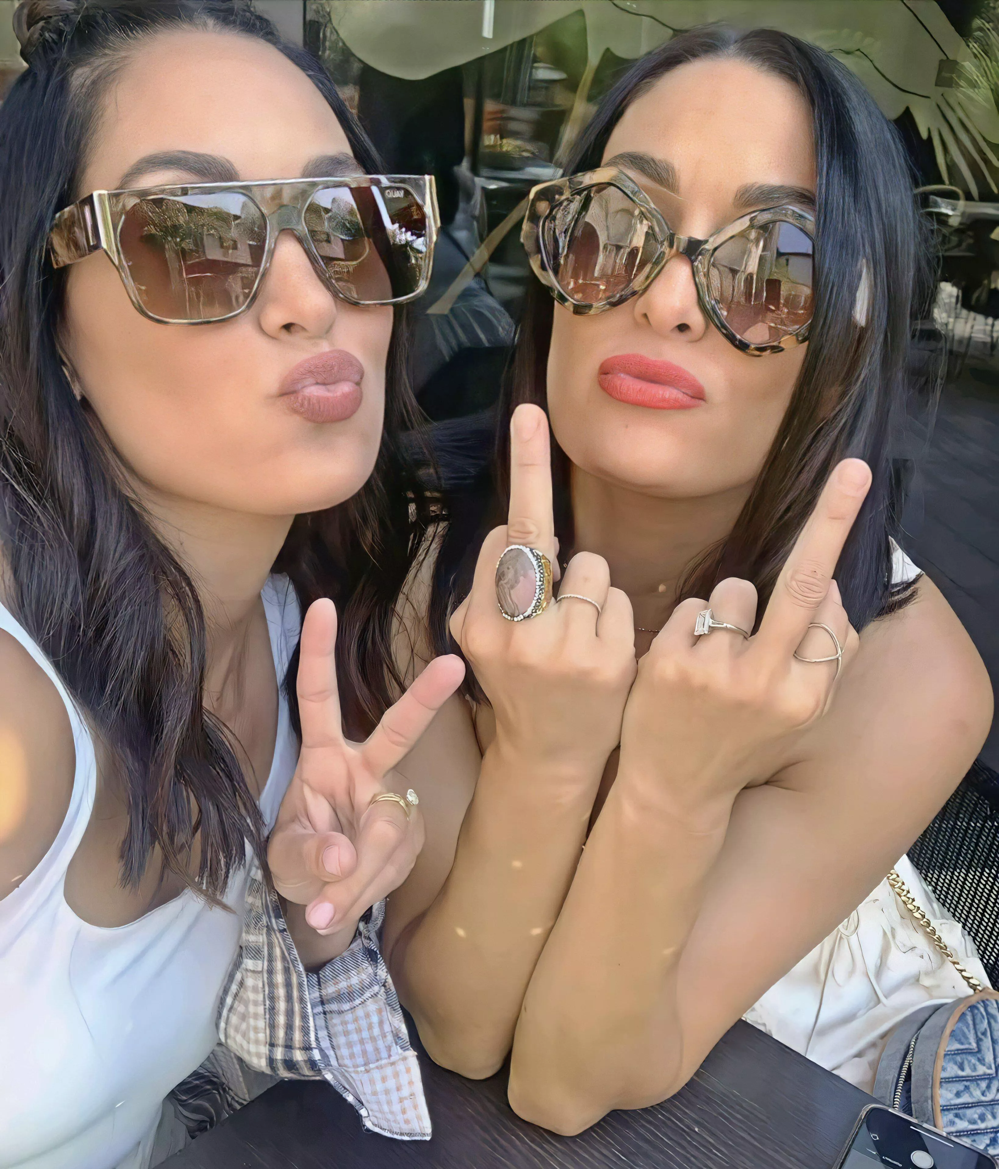 Bella Twins Bella Twins