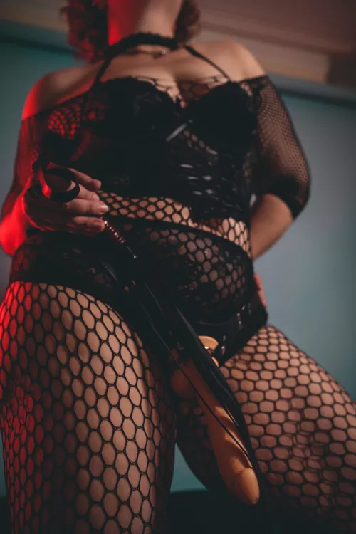 Bending time pet, start to beg.