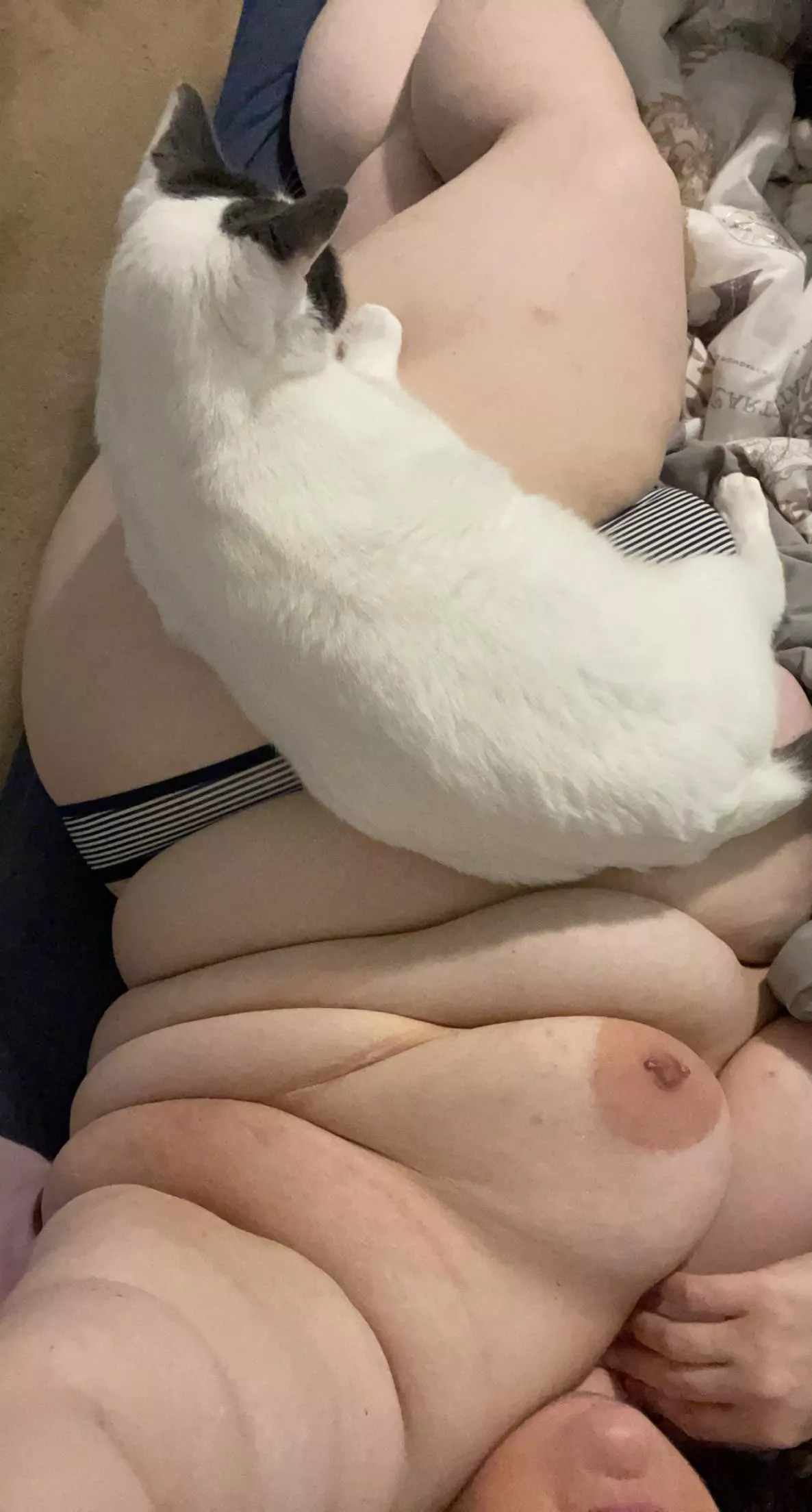 Best seat in the house Best seat in the house