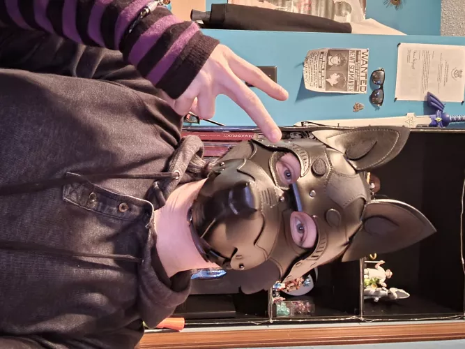 Better Pic of My Pup's First Hood