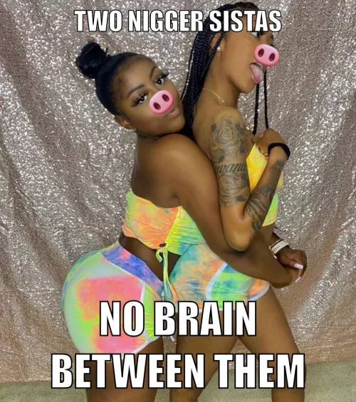 Between the two, they couldn’t even answer a simple question, to busy trying to get white cock