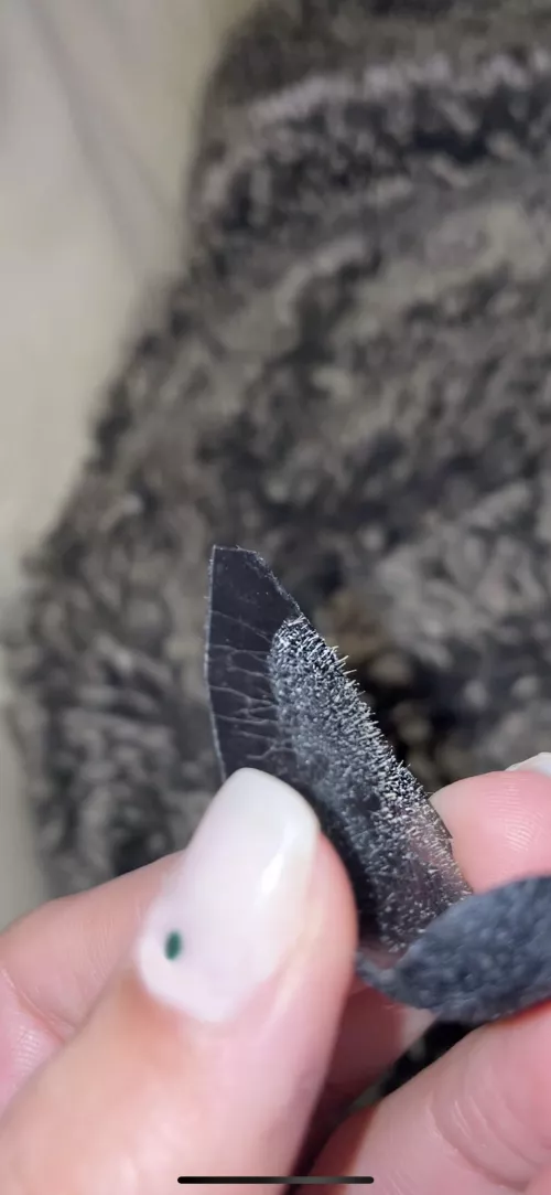 bf’s pore strip pt 3