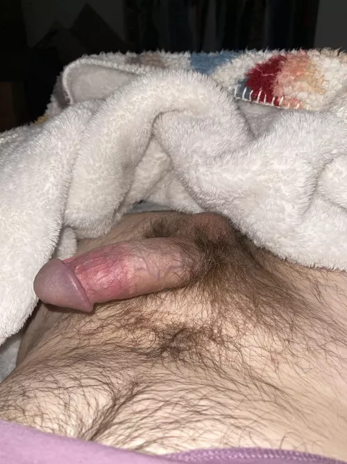 Bi guy, looking for a FWB situation with like minded guys. Chat, have normal conversations and be willing to swap pics/videos during our horny moments. All I ask is don’t be weird, would like a normal everyday guy like myself. I am 29 and 5.5 cut. If y