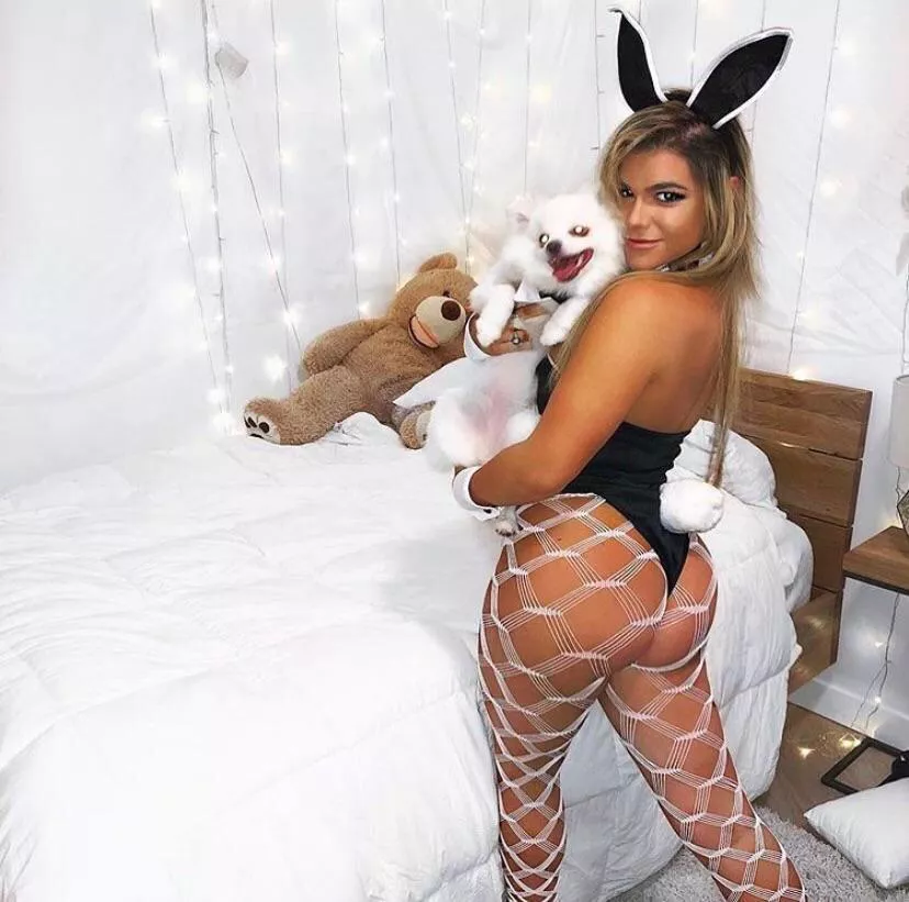Big booty bunny Big booty bunny