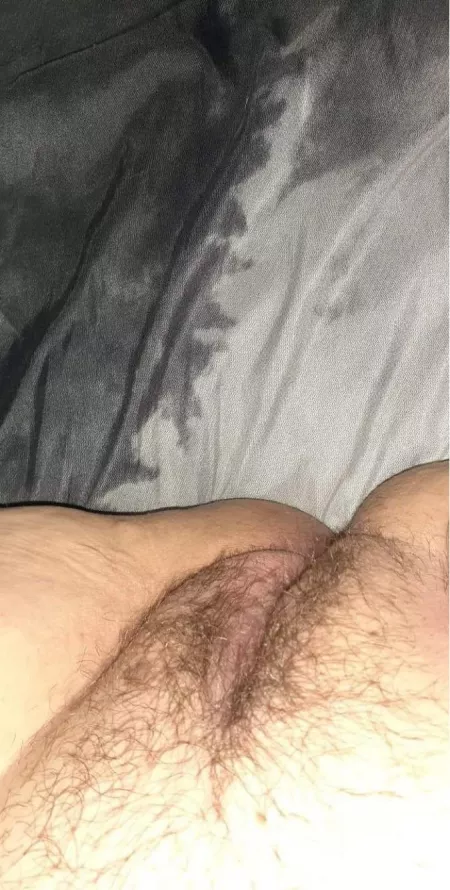Big Hairy Nude