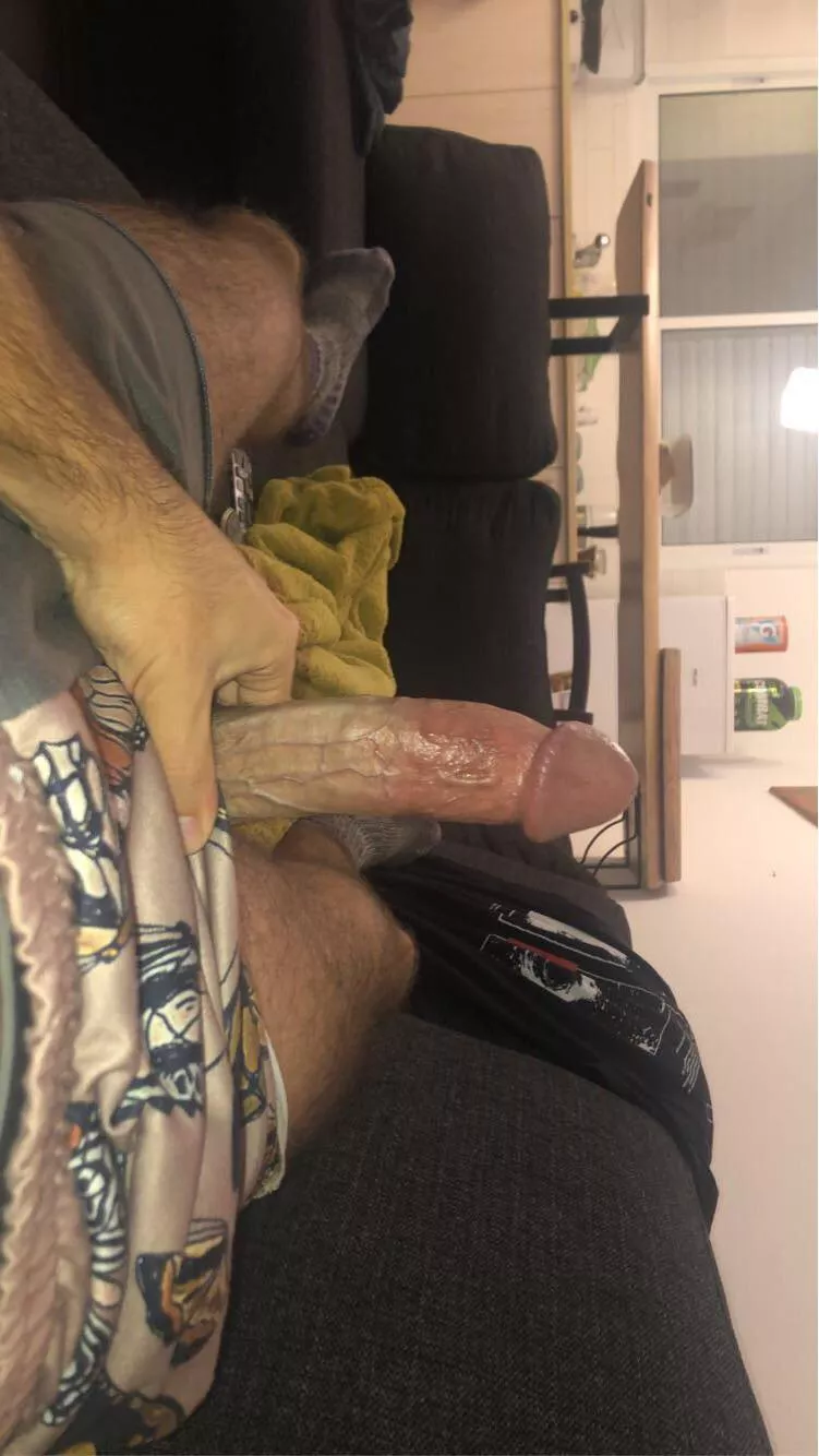 Big hard cock ready to be sucked