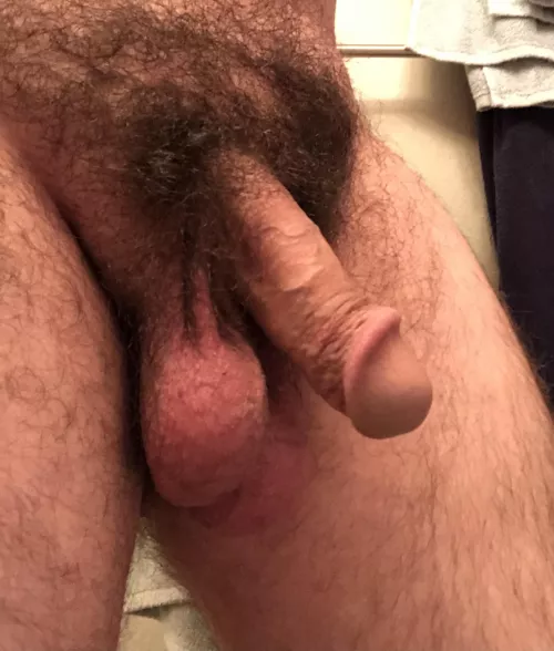 Big nutsack Big nutsack