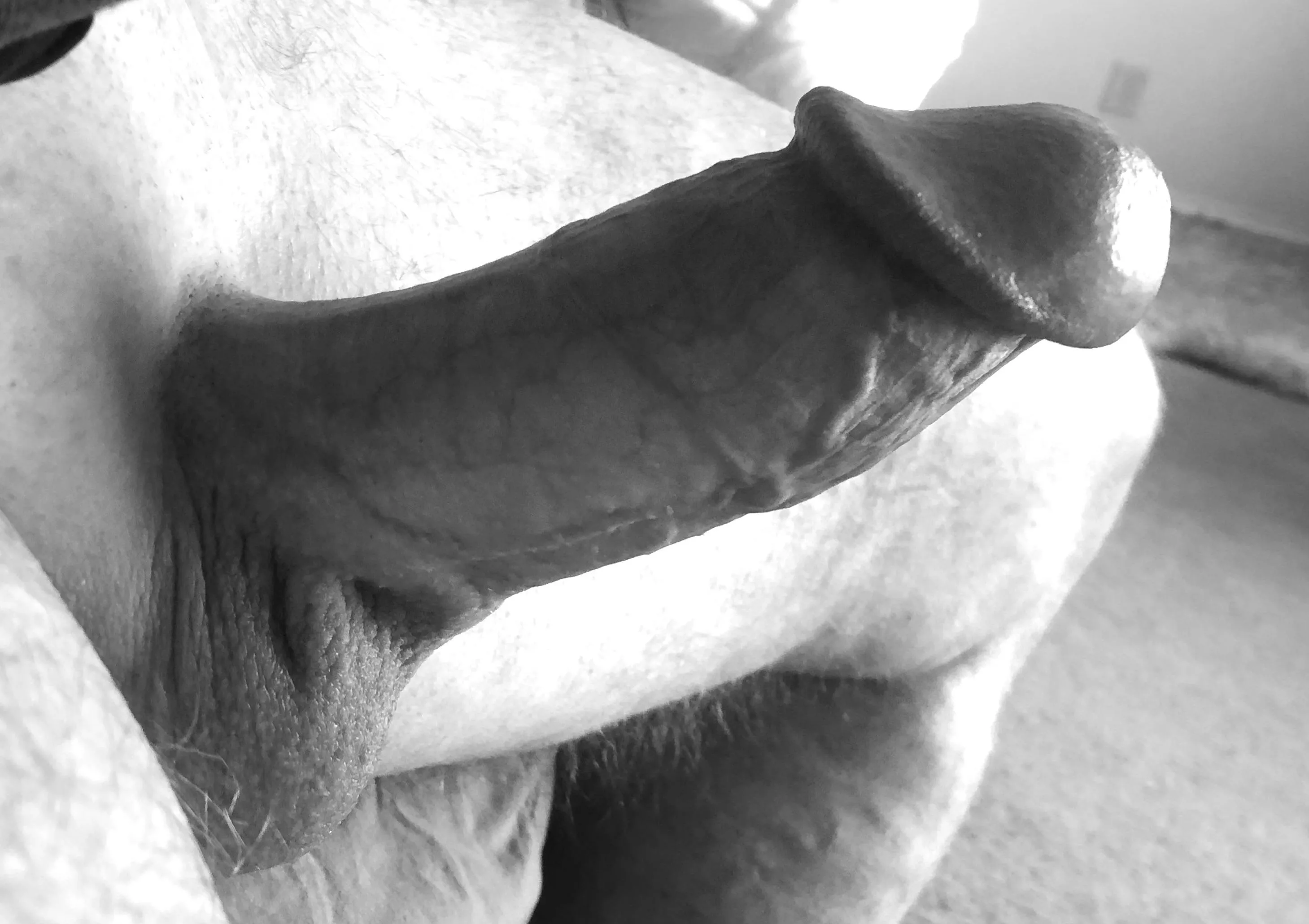 Big old mushroom head