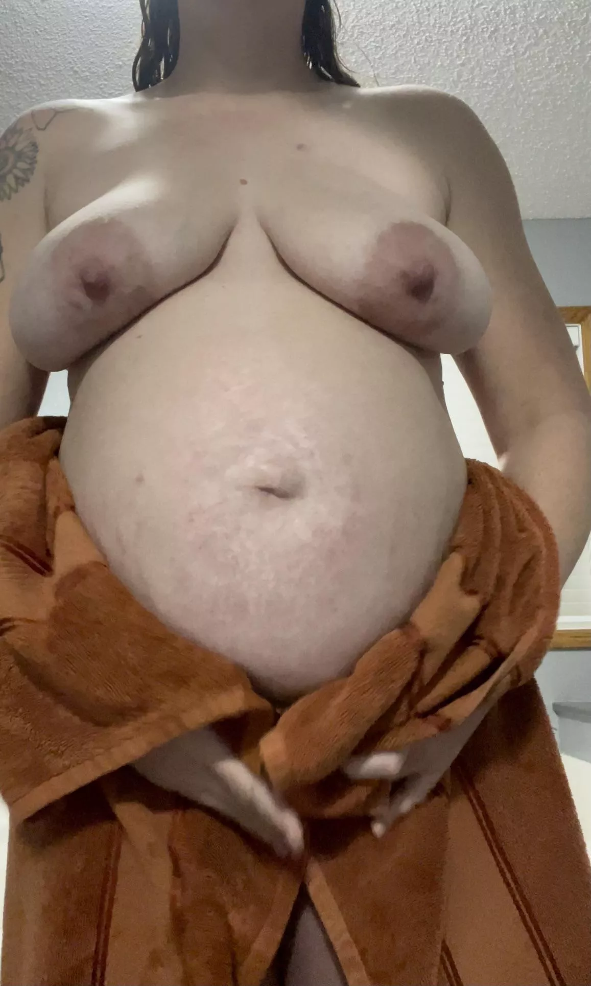 Large Pregnant Tits