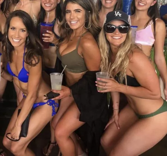 Bikini Babes Bikini Babes