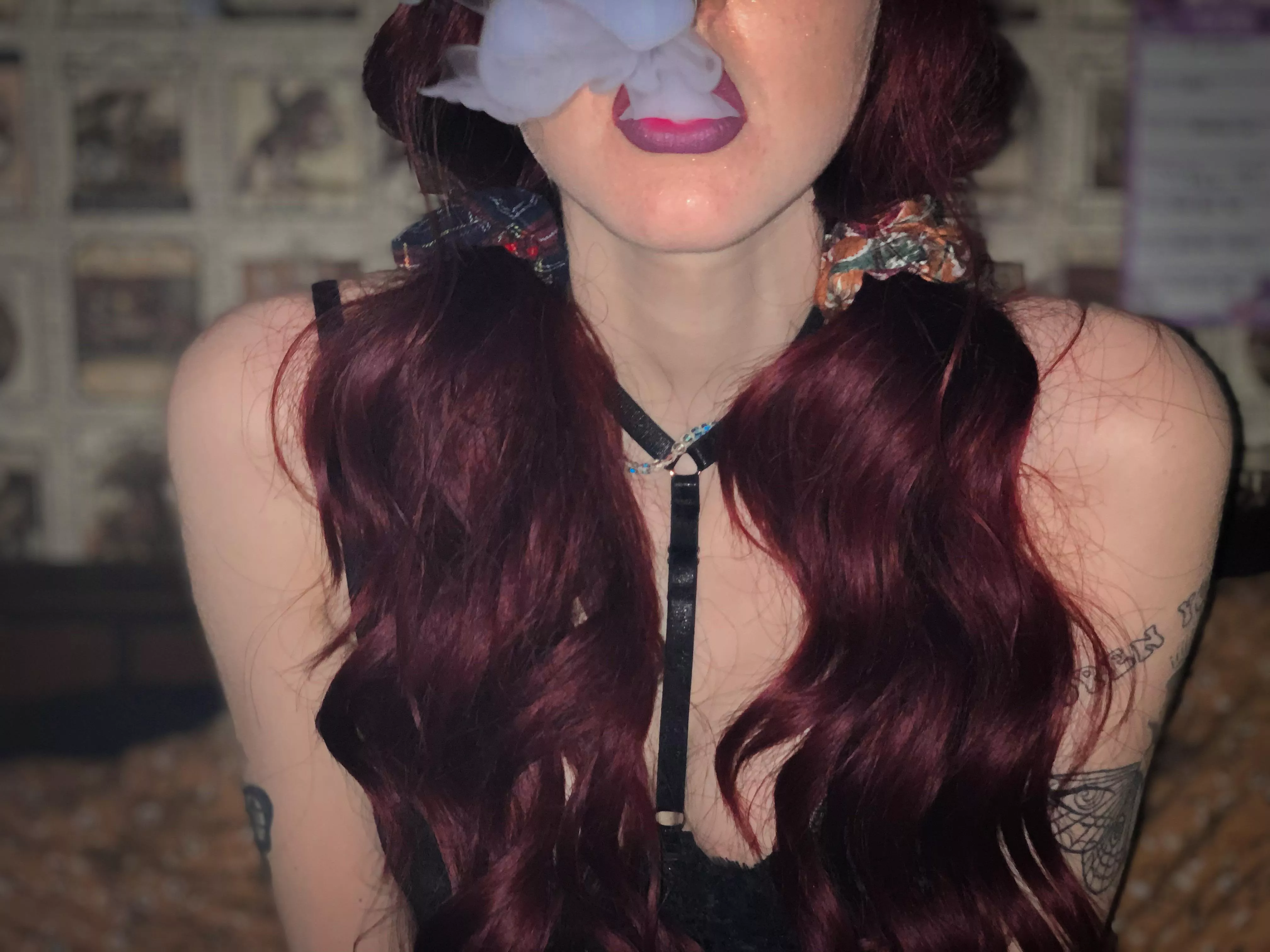 Bingbong❄️ Bingbong❄️