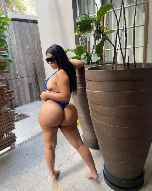 Bl