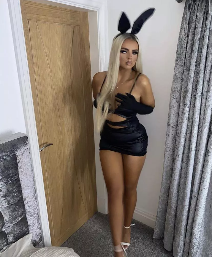 Black bunny Black bunny