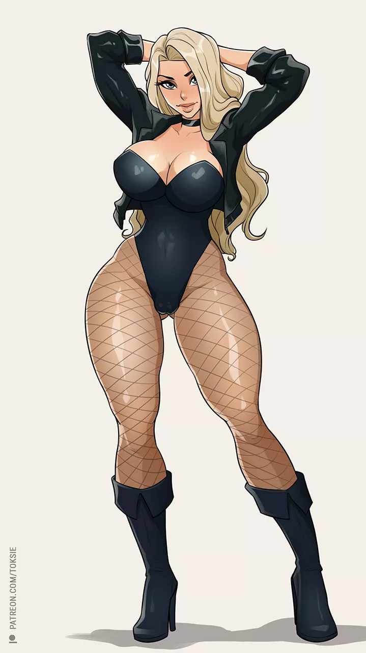 Black canary (toksie) [DC]