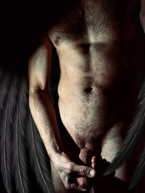 Blackbird singing in the dead of night ...