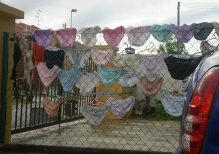 Blessed or cursed if that's your neighbour? 😜