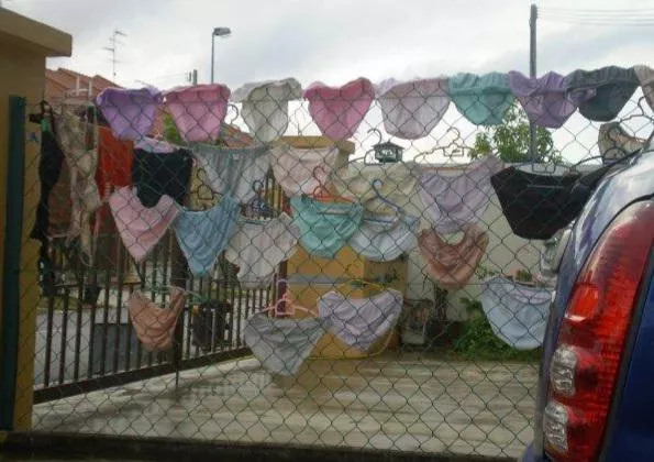 Blessed or cursed if that's your neighbour? 😜