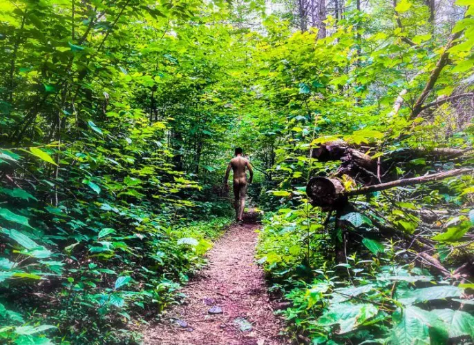 Blessed to be surrounded by forest Blessed to be surrounded by forest