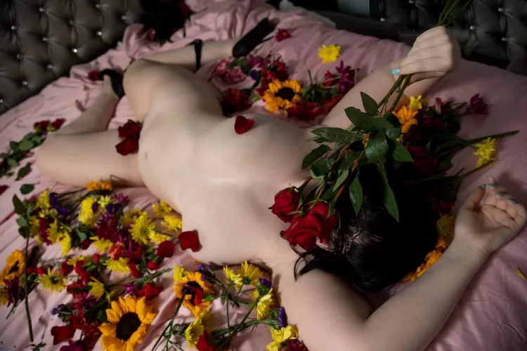 Blissful in a bed of roses Blissful in a bed of roses