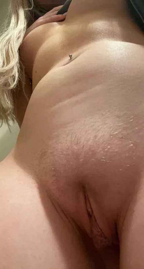 Blonde bush pending Blonde bush pending