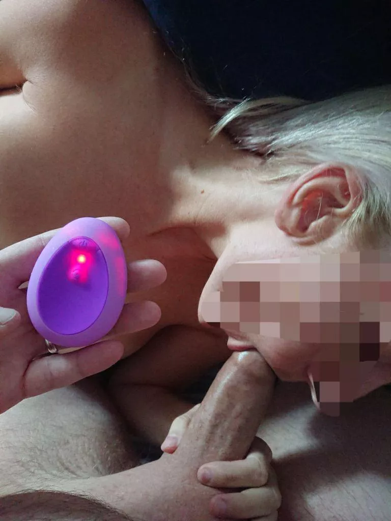 Blowjob for me, remote controlled egg-vibrator inside her.
