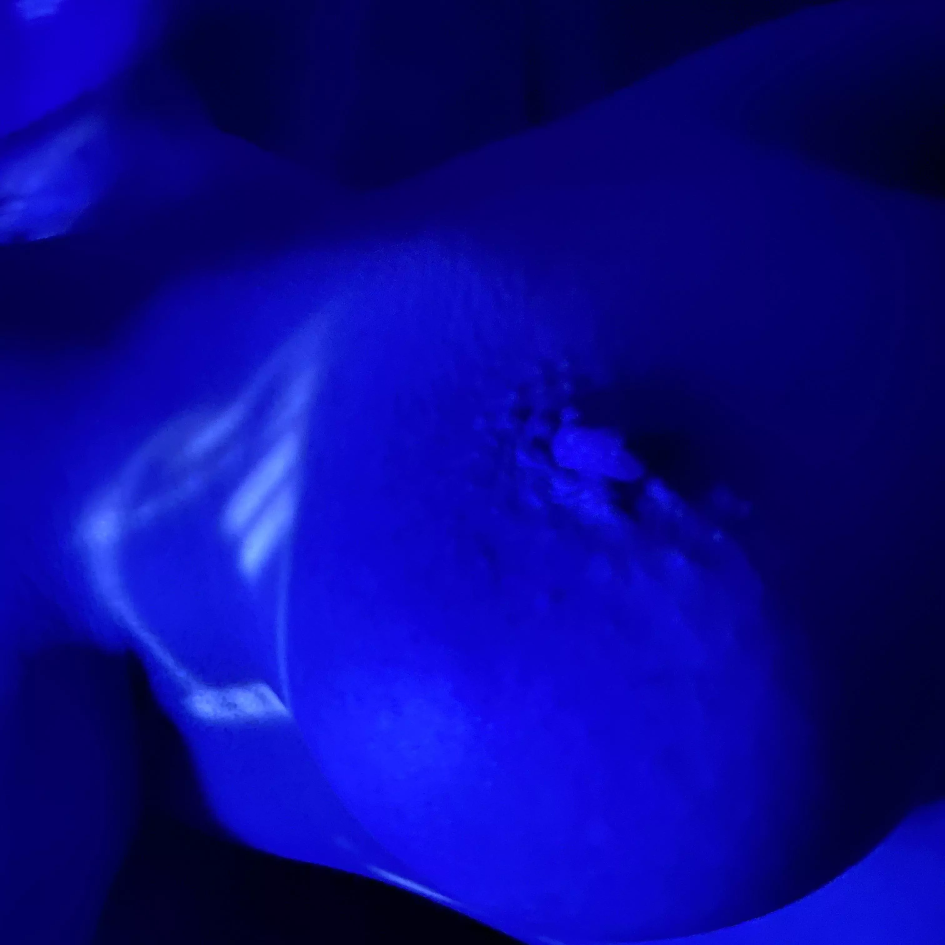 “Blue. Songs are like tattoos you know I’ve been to sea before. Crown and anchor me or let me sail away.” Joni Mitchell