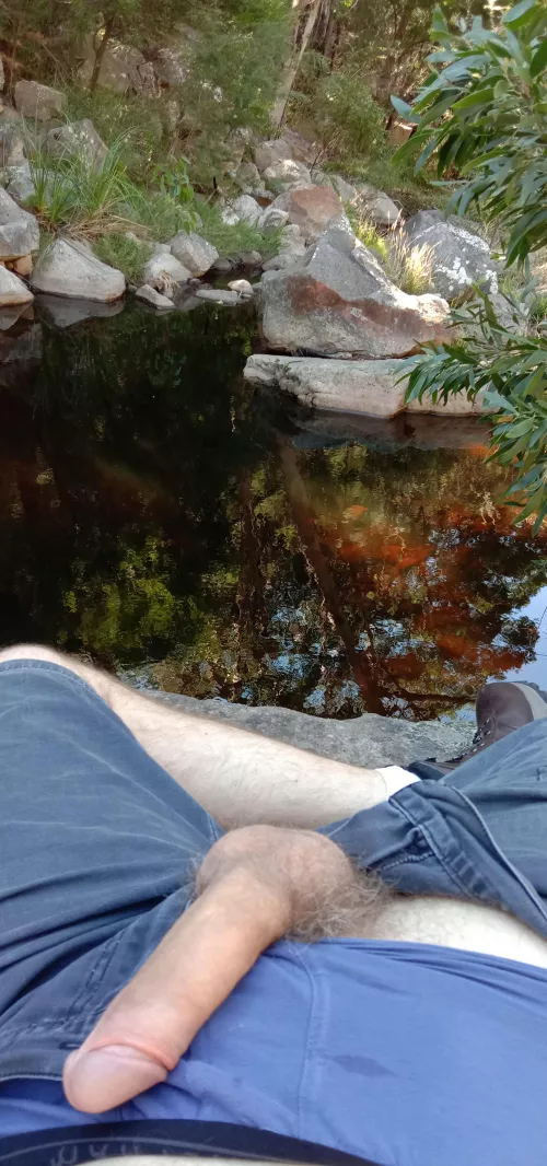Boner on a bushwalk!! Hello from Australia