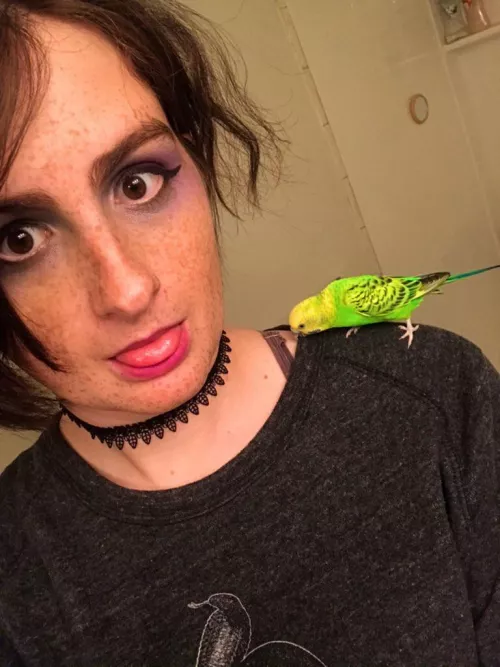 borb ๐ฆ borb ๐ฆ