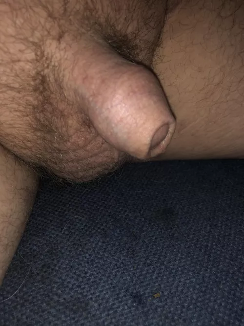 Bored and tiny. (34)