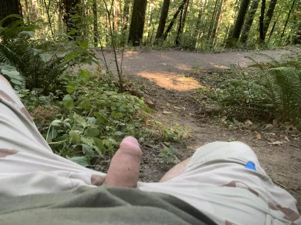 Bored on (M)y hike Bored on (M)y hike
