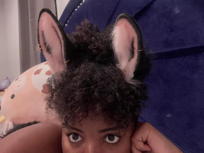 Bought these bun bun ears to reward myself for finishing the semester! I‘ ve been having a lot of ups and downs but I managed to get all A’s for the first time in maybe 5 years. PSA:Try to be compassionate to yourself even when things aren’t going 