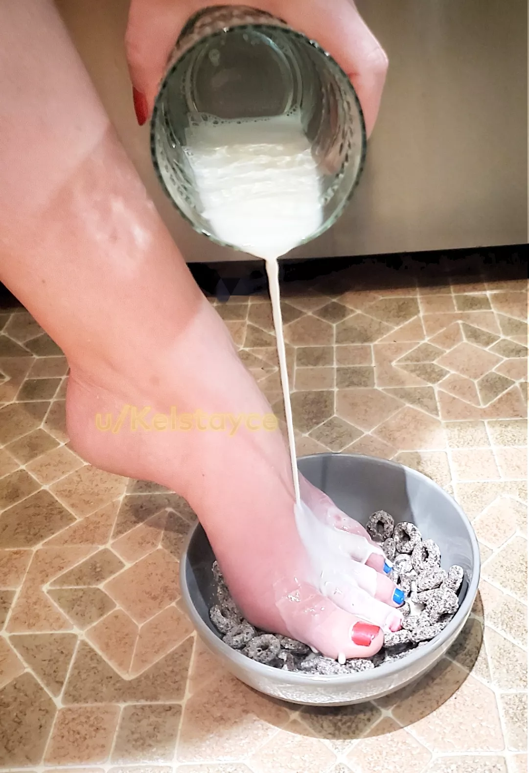 Bowl is only half full because I am the real snack! Bowl is only half full because I am the real snack!