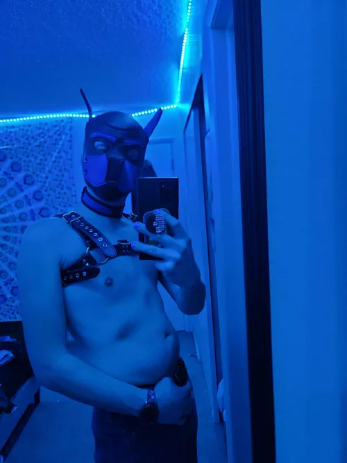 Brand new pup here! Feeling free and so, so happy RN... I'm ready to get ruff 😜🐶