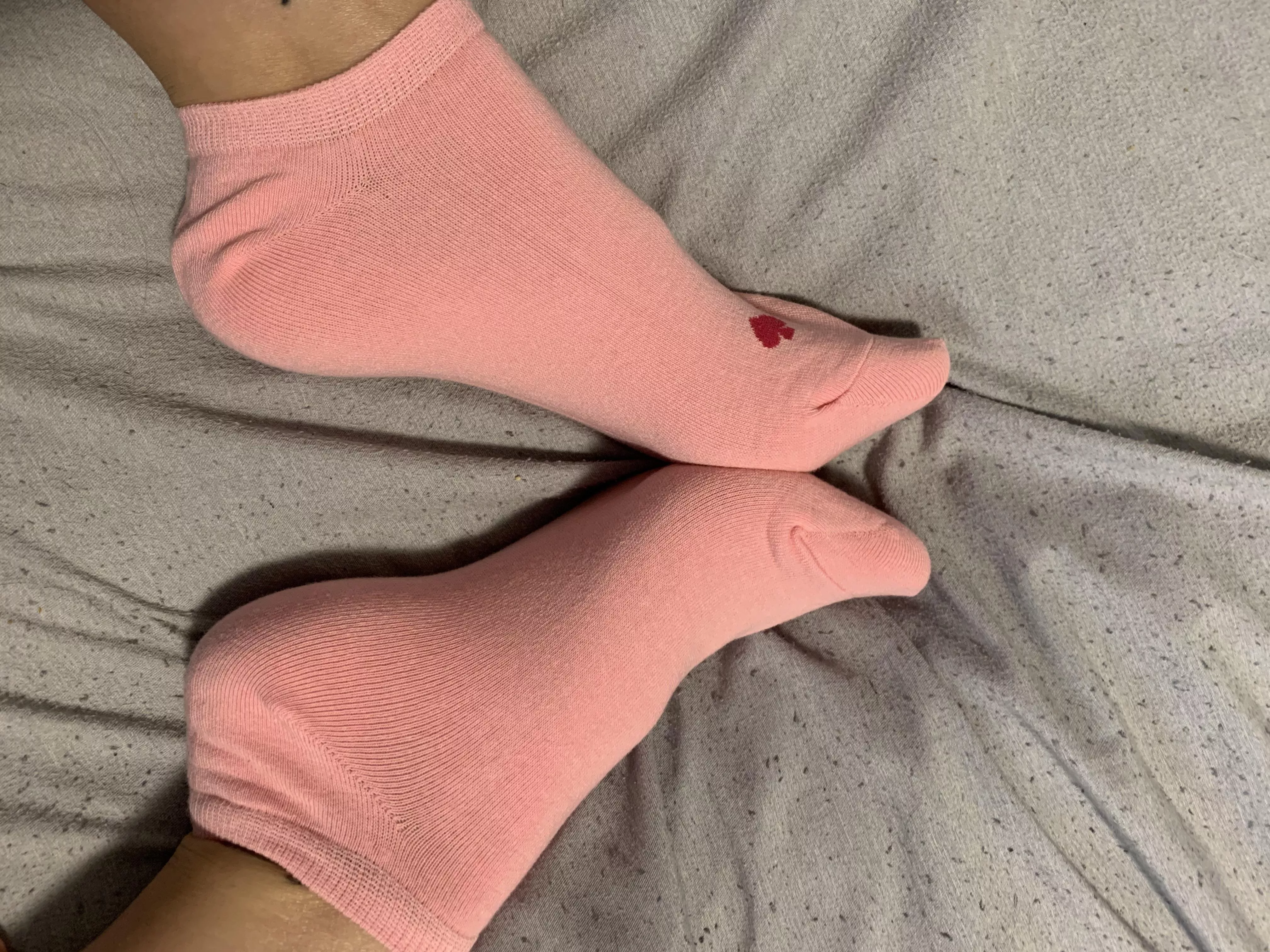Brand new socks... who wants to see what they look like by tomorrow?