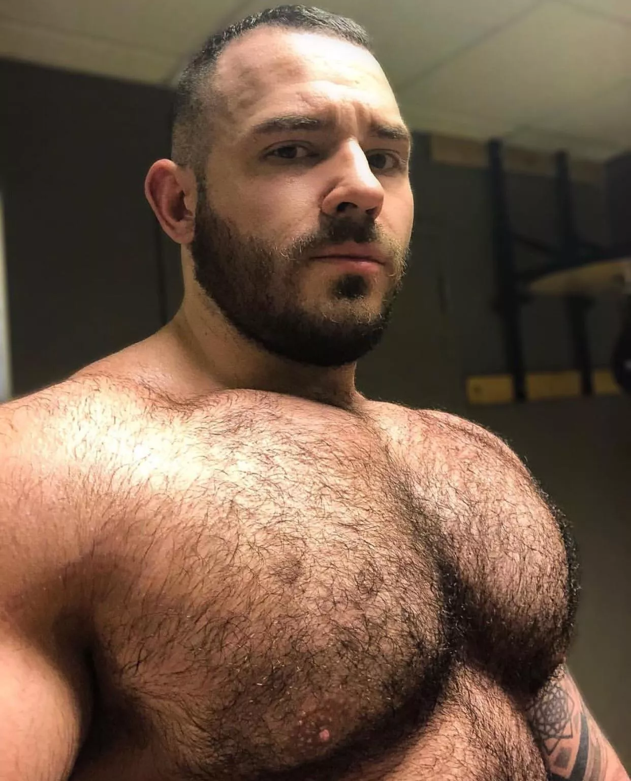 Hairy Muscle Pecs