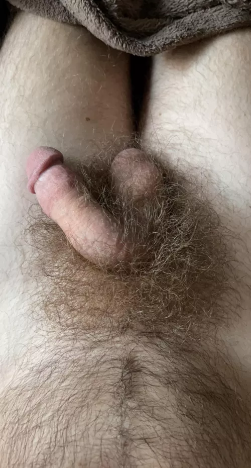 Breakfast is served