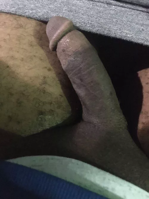 Brick