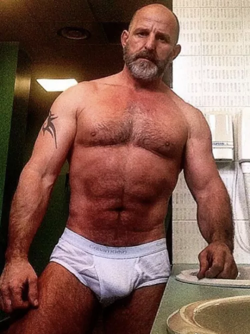 briefs