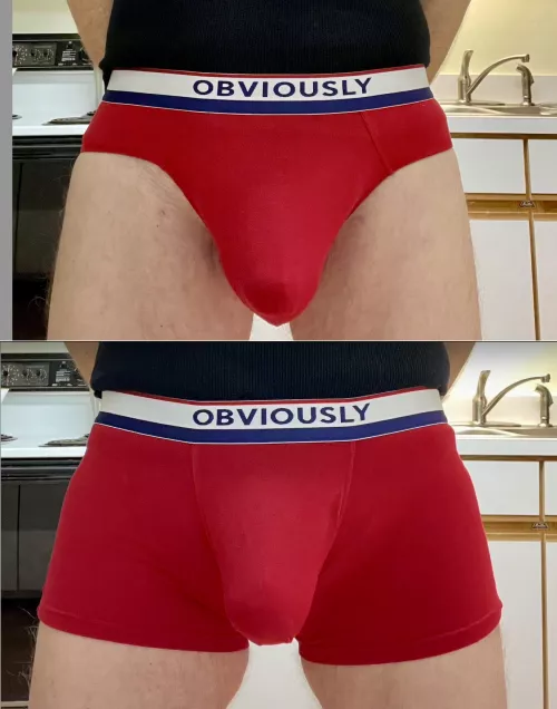 Briefs Of Trunks? Which Is Hotter?