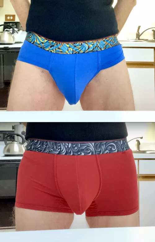 Briefs Or Trunks...Which Is Hotter? (Sorry they're not the same color!)