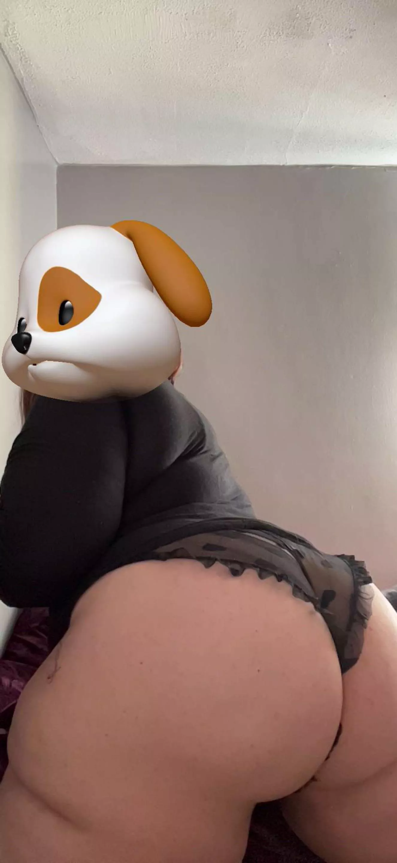 Bringing a whole new meaning to Doggy style Bringing a whole new meaning to Doggy style