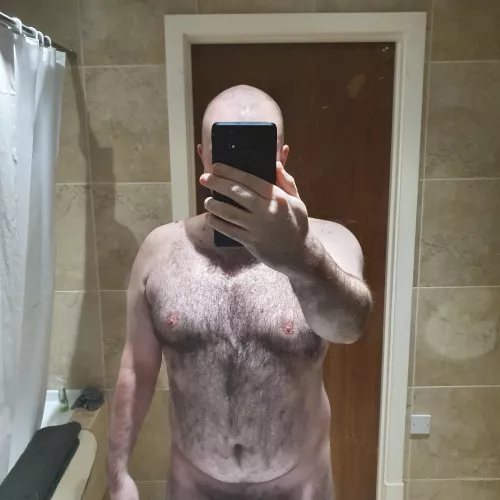 British Bear looking for an American Princess!