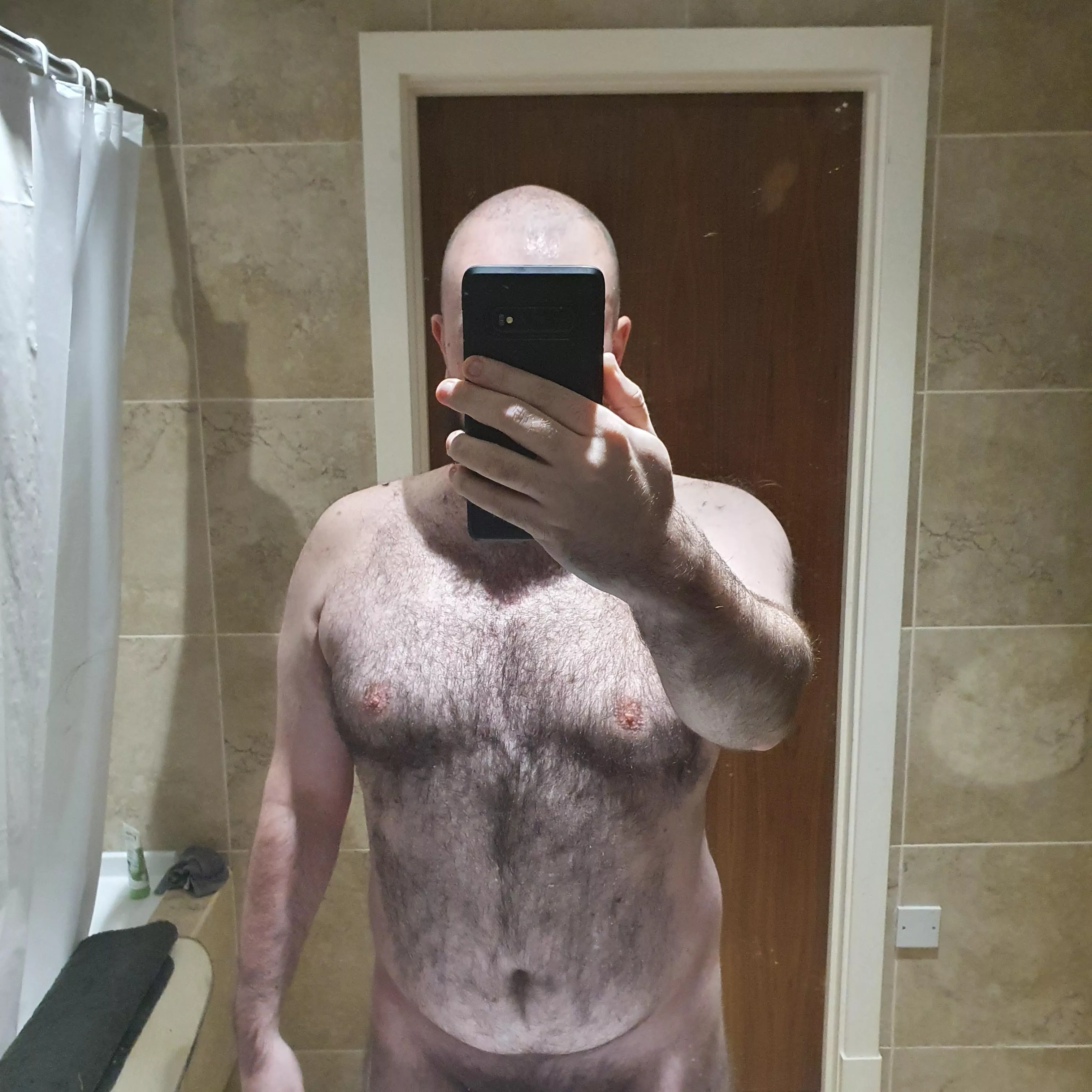 British Bear looking for an American Princess!