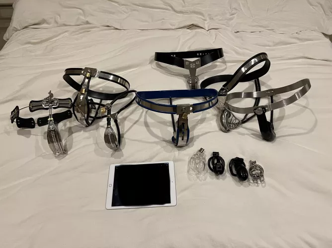 Brought the collection out for a review
