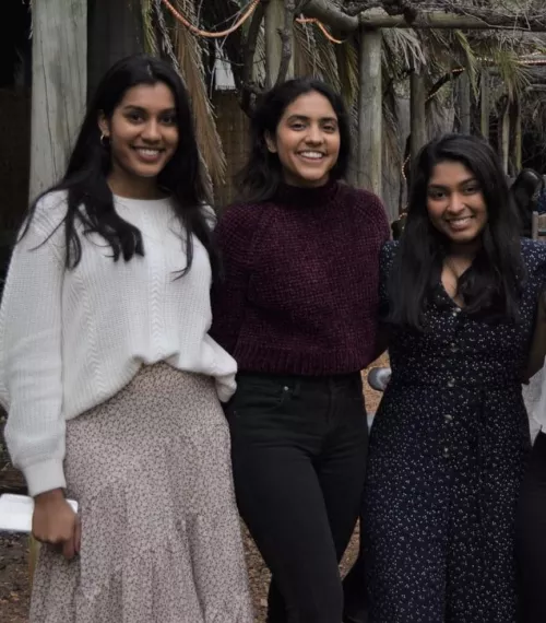 Brown beauties Brown beauties