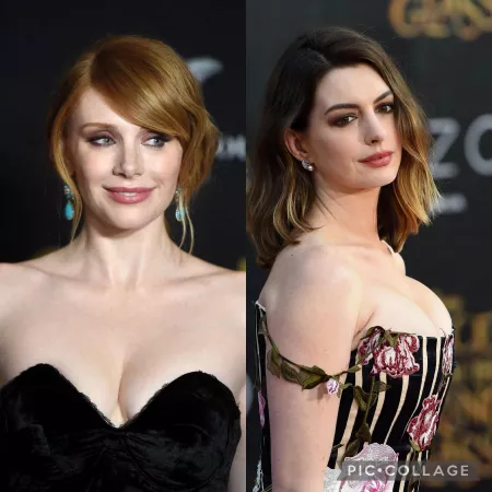 Bryce Dallas Howard. Anne Hathaway. Pick one. Bryce Dallas Howard. Anne Hathaway. Pick one.