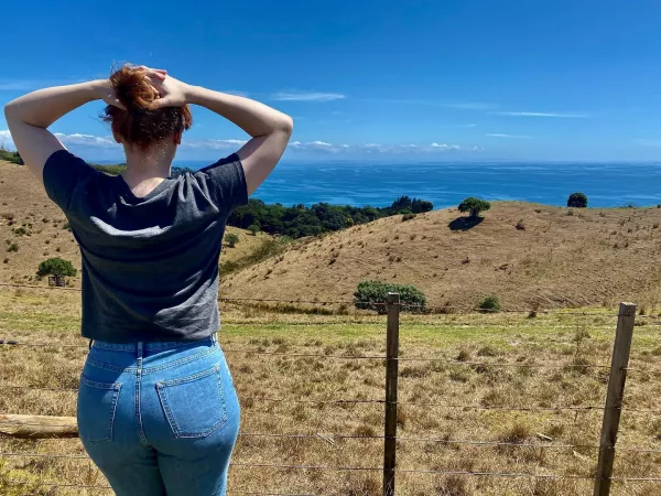 Bryce Dallas Howard has the best ass Bryce Dallas Howard has the best ass