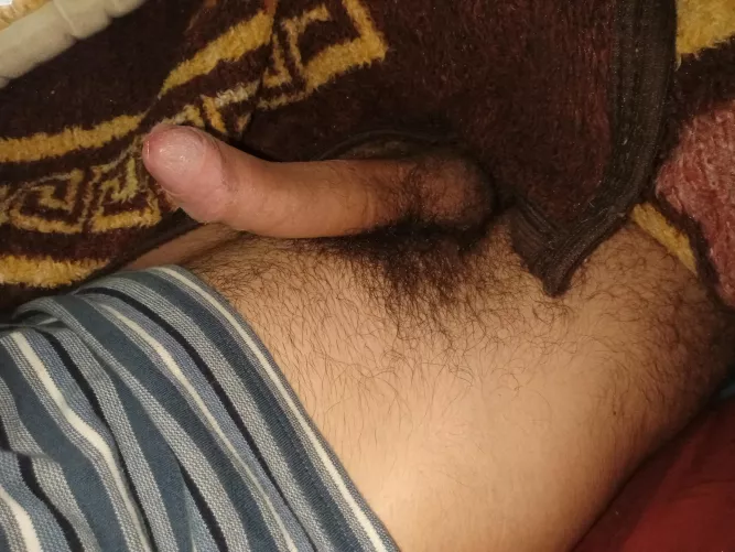 Bulgarian cock 🇧🇬