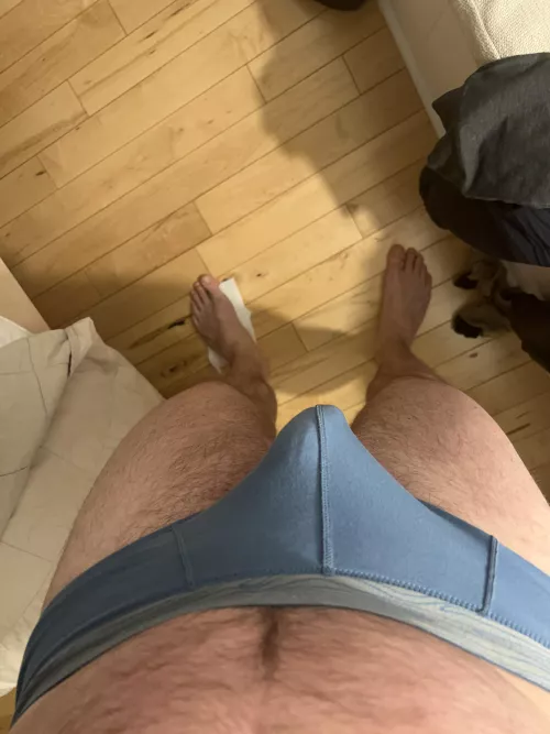 Bulge from above