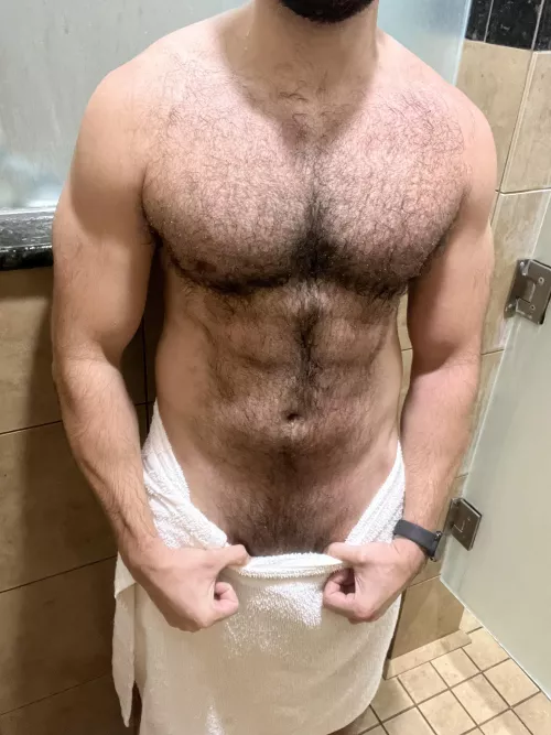 Bulk is Bearing Fruits 🐻💪